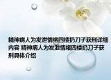 精神病人為發(fā)泄情緒四樓扔刀子獲刑詳細內(nèi)容 精神病人為發(fā)泄情緒四樓扔刀子獲刑具體介紹