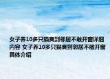 女子養(yǎng)10多只貓臭到鄰居不敢開窗詳細(xì)內(nèi)容 女子養(yǎng)10多只貓臭到鄰居不敢開窗具體介紹