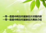 一帶一路是中阿合作靚麗名片詳細內(nèi)容 一帶一路是中阿合作靚麗名片具體介紹