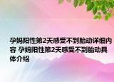 孕媽陽性第2天感受不到胎動詳細(xì)內(nèi)容 孕媽陽性第2天感受不到胎動具體介紹