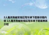 2人毒殺狗被發(fā)現(xiàn)后駕車(chē)掉下路基詳細(xì)內(nèi)容 2人毒殺狗被發(fā)現(xiàn)后駕車(chē)掉下路基具體介紹