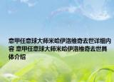 意甲任意球大師米哈伊洛維奇去世詳細(xì)內(nèi)容 意甲任意球大師米哈伊洛維奇去世具體介紹