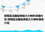 阿根廷法國誰捧起大力神杯詳細(xì)內(nèi)容 阿根廷法國誰捧起大力神杯具體介紹