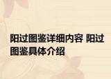 陽過圖鑒詳細(xì)內(nèi)容 陽過圖鑒具體介紹