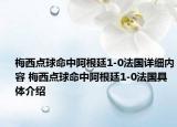 梅西點(diǎn)球命中阿根廷1-0法國詳細(xì)內(nèi)容 梅西點(diǎn)球命中阿根廷1-0法國具體介紹