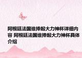 阿根廷法國誰捧起大力神杯詳細(xì)內(nèi)容 阿根廷法國誰捧起大力神杯具體介紹