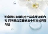 河南回應(yīng)麥田長(zhǎng)出十層高樓詳細(xì)內(nèi)容 河南回應(yīng)麥田長(zhǎng)出十層高樓具體介紹