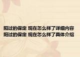 陽過的保定 現(xiàn)在怎么樣了詳細(xì)內(nèi)容 陽過的保定 現(xiàn)在怎么樣了具體介紹