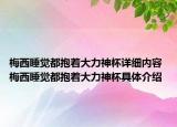 梅西睡覺都抱著大力神杯詳細(xì)內(nèi)容 梅西睡覺都抱著大力神杯具體介紹