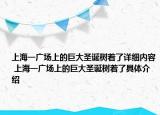 上海一廣場(chǎng)上的巨大圣誕樹(shù)著了詳細(xì)內(nèi)容 上海一廣場(chǎng)上的巨大圣誕樹(shù)著了具體介紹