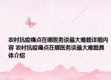 農(nóng)村抗疫痛點(diǎn)在哪醫(yī)務(wù)談最大難題詳細(xì)內(nèi)容 農(nóng)村抗疫痛點(diǎn)在哪醫(yī)務(wù)談最大難題具體介紹