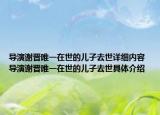 導演謝晉唯一在世的兒子去世詳細內(nèi)容 導演謝晉唯一在世的兒子去世具體介紹