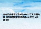 青島目前每日新增感染49-53萬人詳細內(nèi)容 青島目前每日新增感染49-53萬人具體介紹