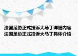 法國(guó)足協(xié)正式投訴大馬丁詳細(xì)內(nèi)容 法國(guó)足協(xié)正式投訴大馬丁具體介紹