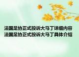 法國(guó)足協(xié)正式投訴大馬丁詳細(xì)內(nèi)容 法國(guó)足協(xié)正式投訴大馬丁具體介紹