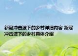 新冠沖擊波下的鄉(xiāng)村詳細內(nèi)容 新冠沖擊波下的鄉(xiāng)村具體介紹