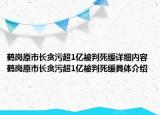 鶴崗原市長(zhǎng)貪污超1億被判死緩詳細(xì)內(nèi)容 鶴崗原市長(zhǎng)貪污超1億被判死緩具體介紹