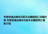 專家快速達(dá)峰會(huì)引起不必要的死亡詳細(xì)內(nèi)容 專家快速達(dá)峰會(huì)引起不必要的死亡具體介紹
