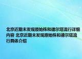 北京近期未發(fā)現(xiàn)原始株和德爾塔流行詳細內(nèi)容 北京近期未發(fā)現(xiàn)原始株和德爾塔流行具體介紹