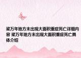 梁萬年地方未出現(xiàn)大面積重癥死亡詳細內(nèi)容 梁萬年地方未出現(xiàn)大面積重癥死亡具體介紹