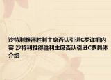 沙特利雅得勝利主席否認引進C羅詳細內(nèi)容 沙特利雅得勝利主席否認引進C羅具體介紹