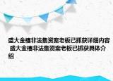 盛大金禧非法集資案老板已抓獲詳細內(nèi)容 盛大金禧非法集資案老板已抓獲具體介紹