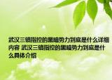 武漢三鎮(zhèn)指控的黑暗勢(shì)力到底是什么詳細(xì)內(nèi)容 武漢三鎮(zhèn)指控的黑暗勢(shì)力到底是什么具體介紹