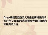 Doge表情包原型柴犬患白血病和肝病詳細內(nèi)容 Doge表情包原型柴犬患白血病和肝病具體介紹