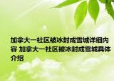 加拿大一社區(qū)被冰封成雪城詳細(xì)內(nèi)容 加拿大一社區(qū)被冰封成雪城具體介紹