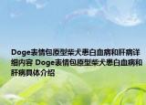 Doge表情包原型柴犬患白血病和肝病詳細(xì)內(nèi)容 Doge表情包原型柴犬患白血病和肝病具體介紹