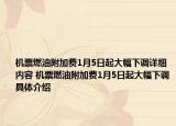 機(jī)票燃油附加費(fèi)1月5日起大幅下調(diào)詳細(xì)內(nèi)容 機(jī)票燃油附加費(fèi)1月5日起大幅下調(diào)具體介紹