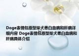 Doge表情包原型柴犬患白血病和肝病詳細(xì)內(nèi)容 Doge表情包原型柴犬患白血病和肝病具體介紹