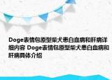 Doge表情包原型柴犬患白血病和肝病詳細(xì)內(nèi)容 Doge表情包原型柴犬患白血病和肝病具體介紹