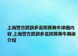 上海警方抓獲多名殯葬黃牛詳細(xì)內(nèi)容 上海警方抓獲多名殯葬黃牛具體介紹