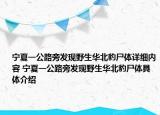 寧夏一公路旁發(fā)現(xiàn)野生華北豹尸體詳細(xì)內(nèi)容 寧夏一公路旁發(fā)現(xiàn)野生華北豹尸體具體介紹