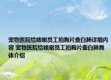 寵物醫(yī)院給咳嗽員工拍胸片查白肺詳細內(nèi)容 寵物醫(yī)院給咳嗽員工拍胸片查白肺具體介紹