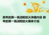 新年的第一場瀏陽焰火詳細內容 新年的第一場瀏陽焰火具體介紹