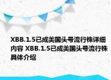 XBB.1.5已成美國頭號流行株詳細內(nèi)容 XBB.1.5已成美國頭號流行株具體介紹