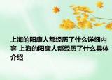 上海的陽康人都經歷了什么詳細內容 上海的陽康人都經歷了什么具體介紹