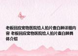 老板回應(yīng)寵物醫(yī)院給人拍片查白肺詳細(xì)內(nèi)容 老板回應(yīng)寵物醫(yī)院給人拍片查白肺具體介紹