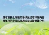 跨年夜的上海醫(yī)院急診量猛增詳細(xì)內(nèi)容 跨年夜的上海醫(yī)院急診量猛增具體介紹