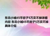 東北小城45平房子5萬(wàn)賣不掉詳細(xì)內(nèi)容 東北小城45平房子5萬(wàn)賣不掉具體介紹