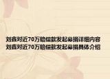 劉鑫對(duì)近70萬賠償款發(fā)起募捐詳細(xì)內(nèi)容 劉鑫對(duì)近70萬賠償款發(fā)起募捐具體介紹