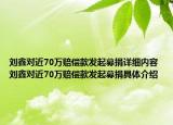 劉鑫對近70萬賠償款發(fā)起募捐詳細內(nèi)容 劉鑫對近70萬賠償款發(fā)起募捐具體介紹