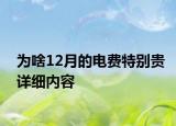 為啥12月的電費特別貴詳細(xì)內(nèi)容
