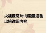 央視反腐片:肖毅童道馳出鏡詳細內(nèi)容