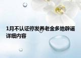 1月不認(rèn)證停發(fā)養(yǎng)老金多地辟謠詳細(xì)內(nèi)容