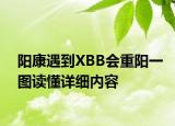 陽康遇到XBB會重陽一圖讀懂詳細(xì)內(nèi)容