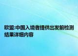 歐盟:中國入境者提供出發(fā)前檢測結(jié)果詳細(xì)內(nèi)容