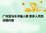 廣州寶馬車沖撞人群 致多人死傷詳細內容